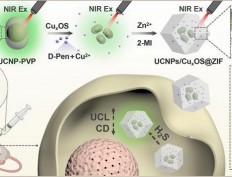 Chiral nanocomposite for highly selective dual-mode sensing and bioimaging of hydrogen sulfide