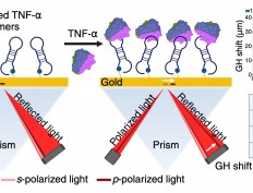 Aptamer-based biosensor achieves ultra-sensitive detection of cancer disease biomarkers